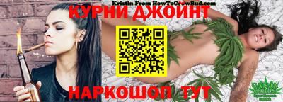 индика Малгобек