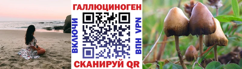 Галлюциногенные грибы Magic Shrooms  Сарапул 