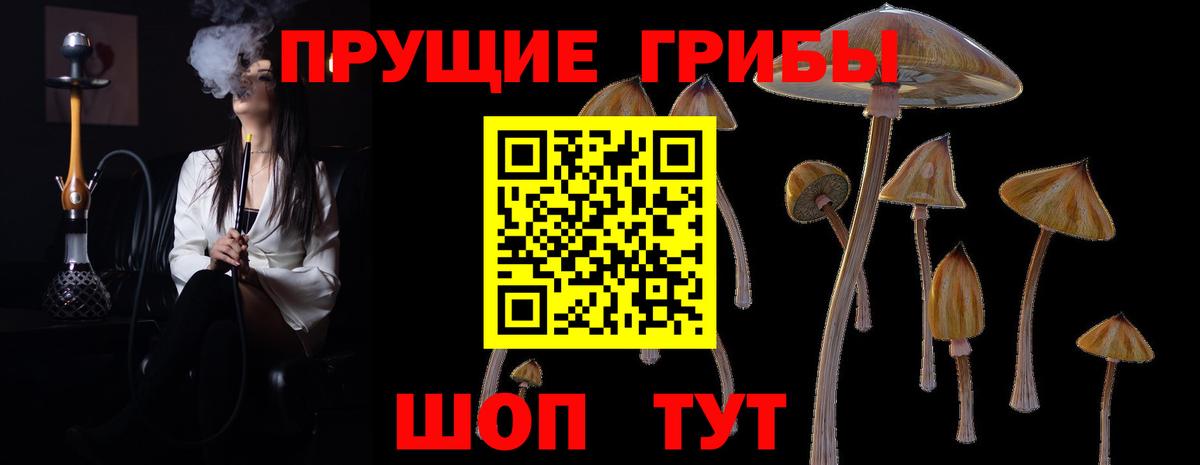 Сарапул  Псилоцибиновые грибы Psilocybe  Вход с VPN  закладки  Псилоцибиновые грибы ЛСД 
