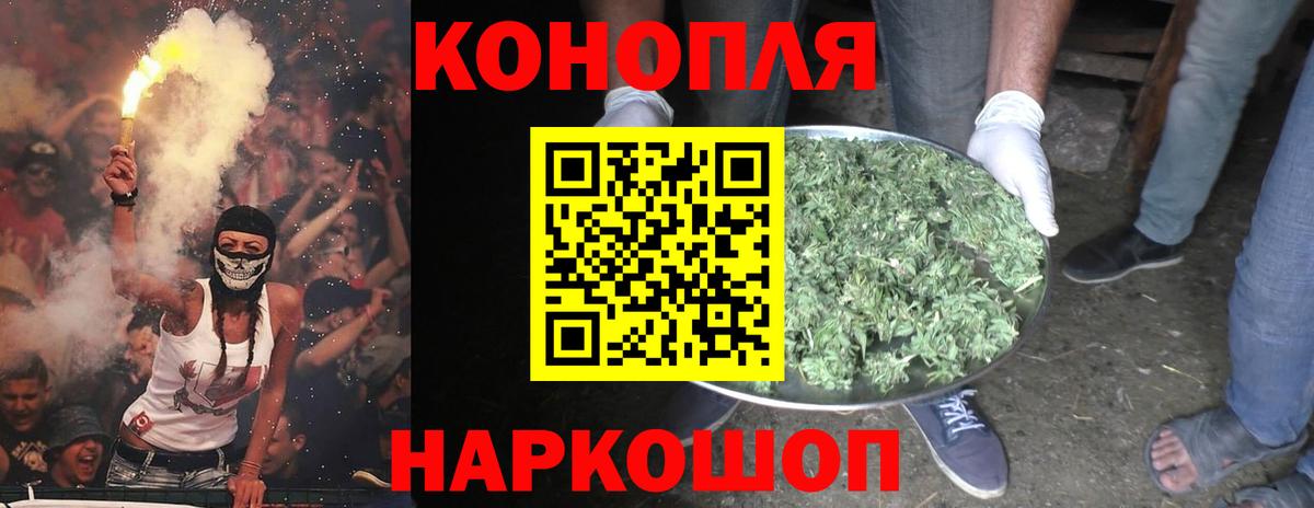 Каннабис тримм  Шишки марихуана план  Сарапул  Вход с VPN  Канабис сатива 
